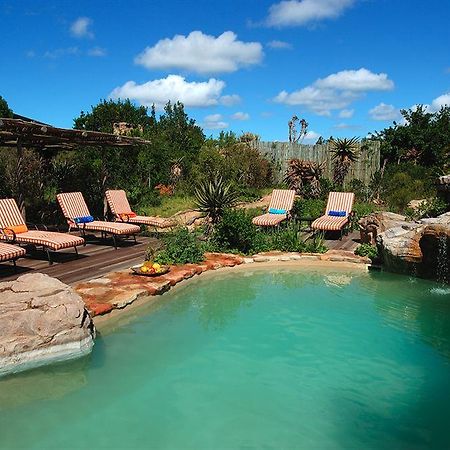Kariega Game Reserve Bushman's River Mouth Luaran gambar