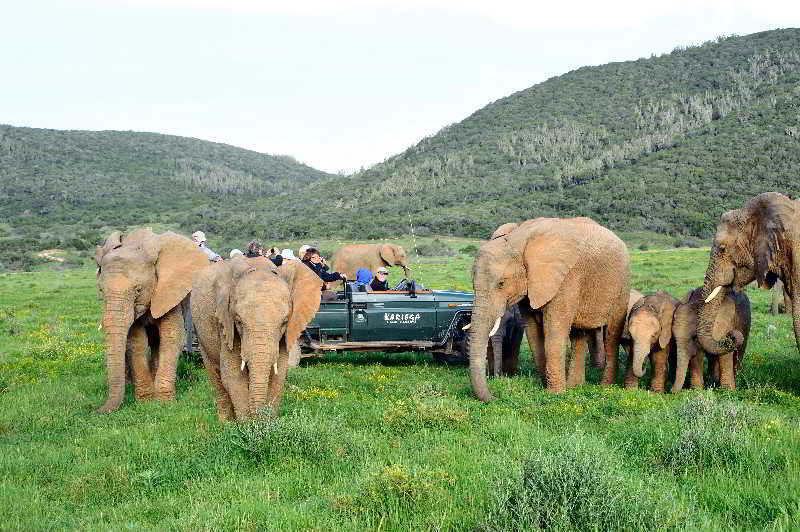 Kariega Game Reserve Bushman's River Mouth Luaran gambar