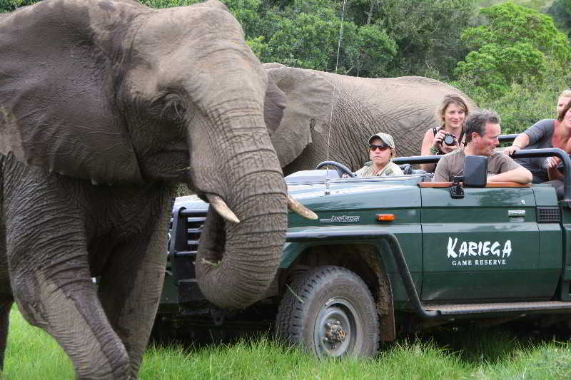 Kariega Game Reserve Bushman's River Mouth Luaran gambar