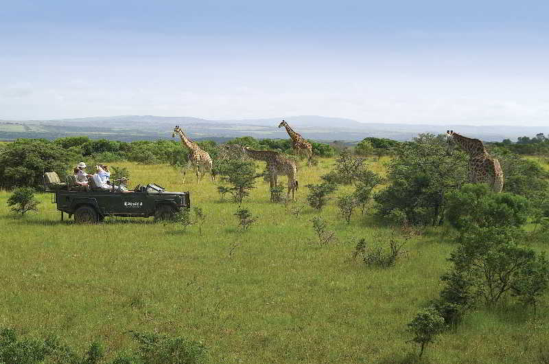 Kariega Game Reserve Bushman's River Mouth Luaran gambar