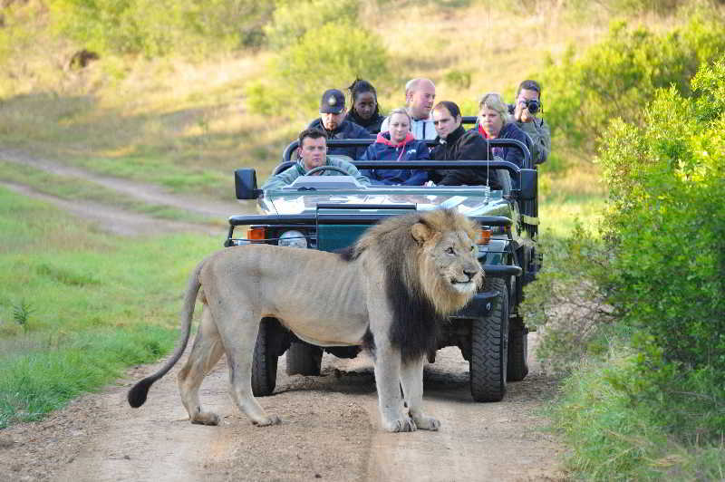 Kariega Game Reserve Bushman's River Mouth Luaran gambar