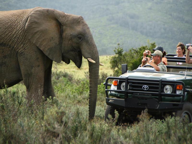 Kariega Game Reserve Bushman's River Mouth Luaran gambar
