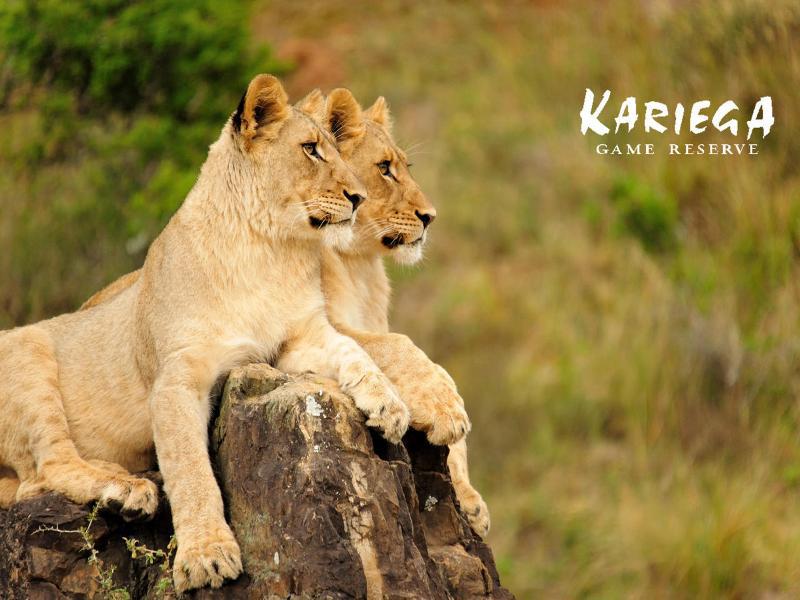 Kariega Game Reserve Bushman's River Mouth Luaran gambar